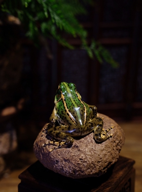 陶瓷青蛙摆件茶宠摆件镇纸笔架花园庭院盆栽假山沙画造景微景观