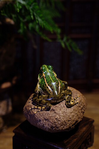 陶瓷青蛙摆件茶宠摆件镇纸笔架花园庭院盆栽假山沙画造景微景观