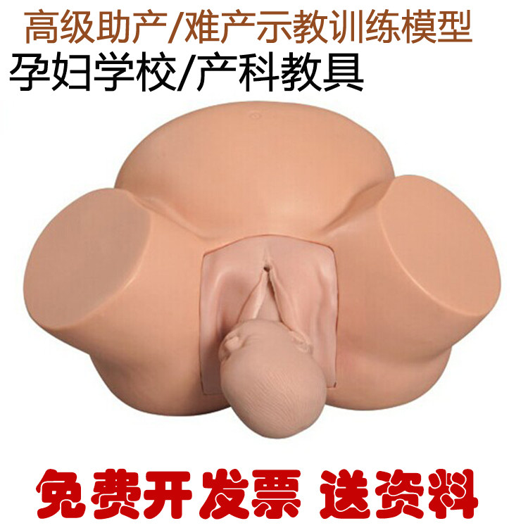 高级难产示教训练模型 助产模型 接生示教模型 分娩训练模具