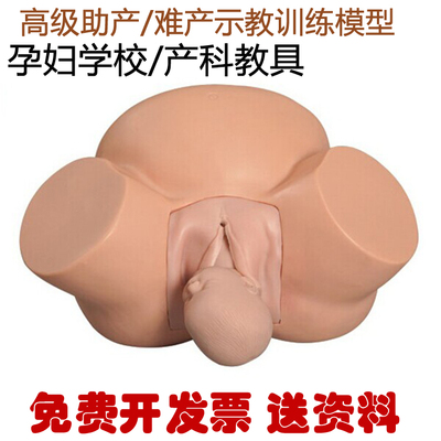 高级示教训练模型助产分娩模具