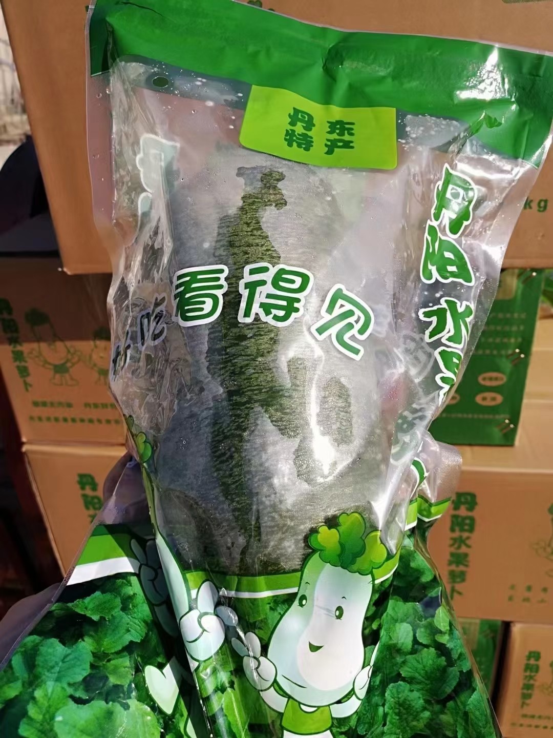 丹东萝卜  绿萝卜 一个2斤左右  京津冀满68包邮