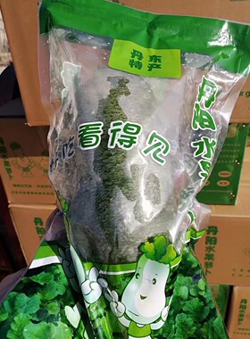 丹东萝卜青皮萝卜京津冀68包邮