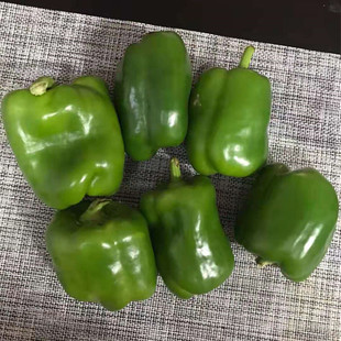 新鲜蔬菜 新鲜绿圆椒 青圆椒 500g 京津冀满68包邮顺丰