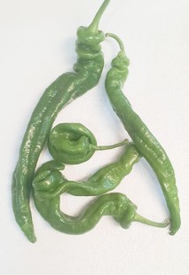 新鲜螺丝椒 新鲜辣椒500g 京津冀68包邮顺丰