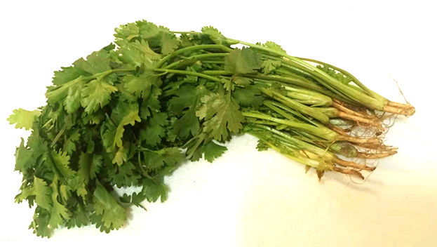 新鲜蔬菜 香菜 调料 辅料 新鲜香菜 100g 京津冀68包邮顺丰