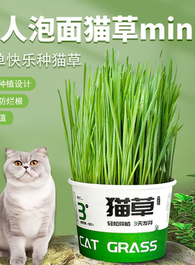 猫草盆栽猫咪罐头水培无土去毛球助消化零食泡面猫零食化毛球