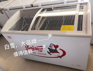 Baixue白雪SD/C-275F(H)商用圆弧玻璃门展示柜冰柜大容量卧式冷柜