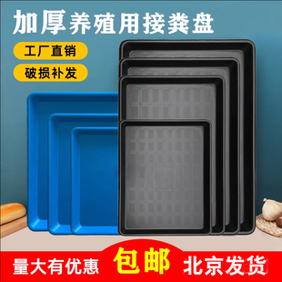 批发价宠物笼子托盘塑料底盘接粪盘养殖场养鸡场犬舍猫舍鸟笼鸽舍