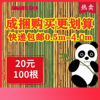 竹竿菜園搭架蔬菜豆角黃瓜爬藤架防腐細竹竿小竹子籬笆柵欄彩旗桿
