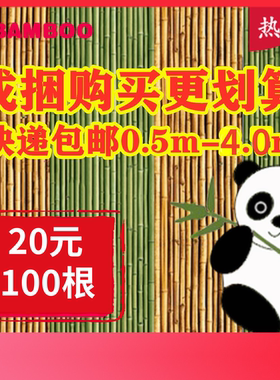 竹竿菜园搭架蔬菜豆角黄瓜爬藤架防腐细竹竿小竹子篱笆栅栏彩旗杆