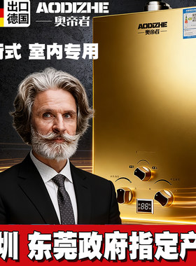 德国出口】平衡式燃气热水器家用天然气液化气煤气瓶铜水箱