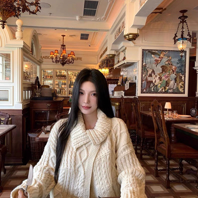 诺华NovaBloom-26年早春韩女绞花大翻领毛衣针织开衫PYFFJ363599