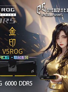 异极北极星金印V5 16G D5 6000C40台式机内存条ROG联名英特尔电脑
