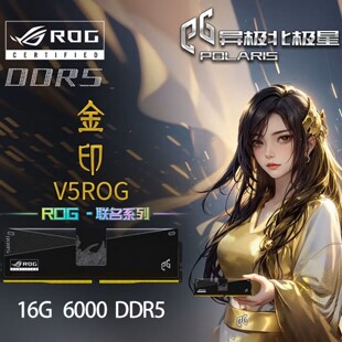 6000C40台式 机内存条ROG联名英特尔电脑 16G 异极北极星金印V5