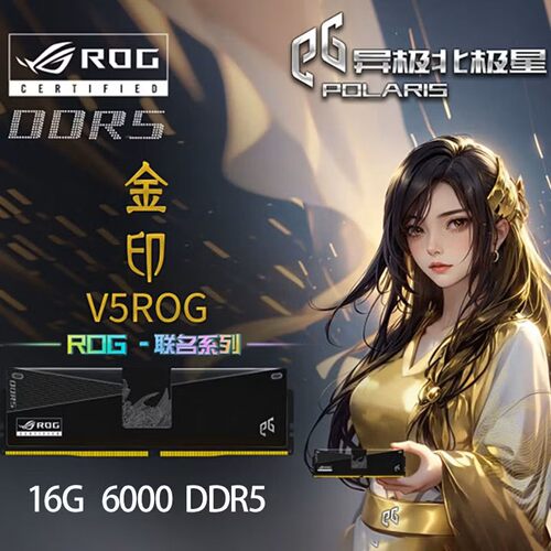 异极北极星DDR56000台式内存C40