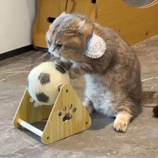 立式滚球木质实心耐抓猫爪板麻绳猫抓球自嗨磨牙磨爪解神器玩具球