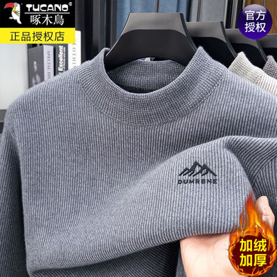 啄木鸟圆领加绒毛衣男