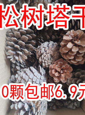 松树果装饰手工diy材料