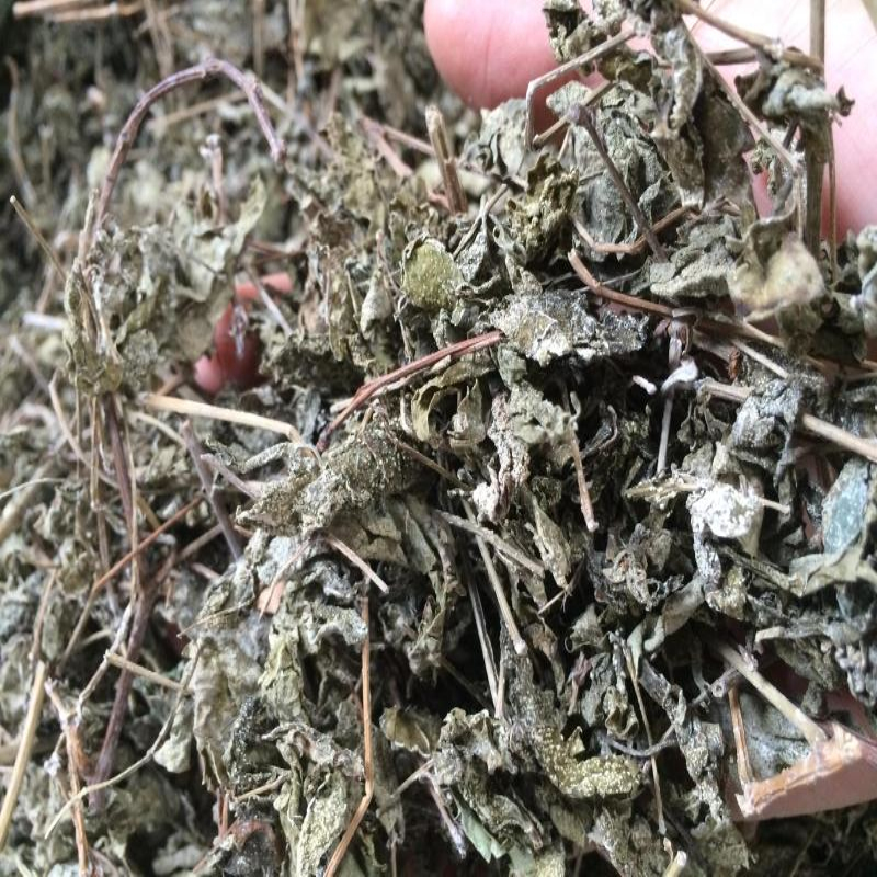 溪黄草茶野生霉茶特级溪黄茶下火甘露茶雪茶白茶藤茶叶500g益生茶