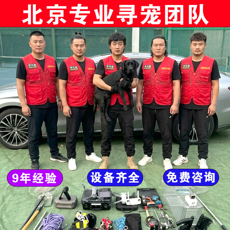 北京找猫团队找狗服务专业寻宠本地师傅24小时上门猫丢了怎么办