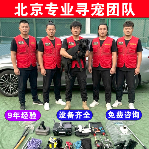 北京找猫团队找狗服务专业寻宠本地师傅24小时上门猫丢了怎么办