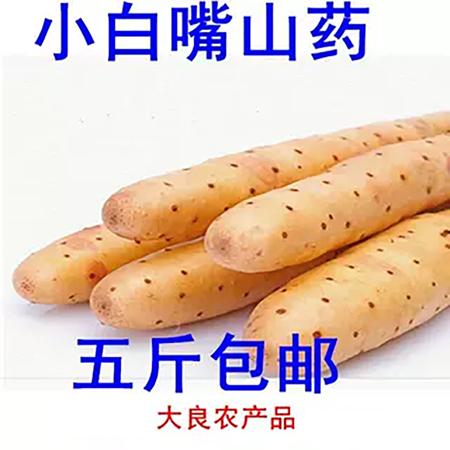 19年老店现挖新鲜白山药特产小白嘴山药非铁棍山药淮山药紫药