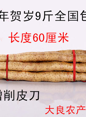 大良安平正宗小白嘴铁棍山药