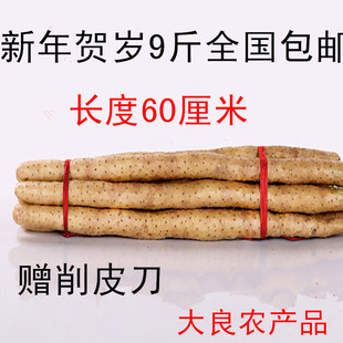 河北正宗特产淮山药食品安平正宗小白嘴 白山药比铁棍山药有营养