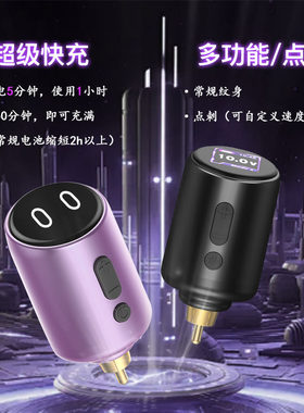 快充纹身电池点刺调频调速