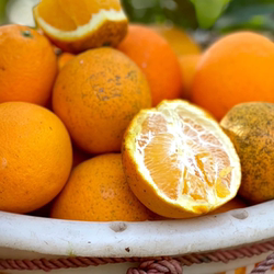 正宗赣南寻乌脐橙【花皮橙果皮丑但不影响口感】便宜实惠