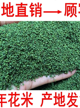 三七花 云南文山三七花正品三七花米翠珠茶特级四年三七花米500克