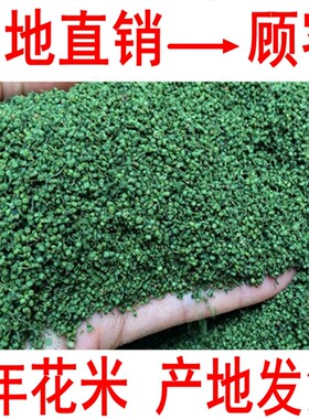 三七花四年三七花米500克