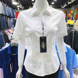 白色v领衬衫女短袖职业2024新款夏季韩版修身正装工作服免烫衬衣