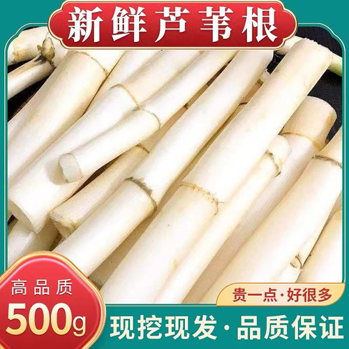 新鲜芦苇根中药材正品藕节芦根汤小儿流鼻血鲜芦根白茅根泡水