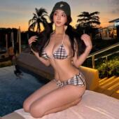 泳衣女新款 俏皮复古格子比基尼分体三角纯欲风甜美可爱度假泡温泉