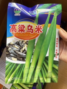 东北乌米高粱种子小时候的味道高粱乌米籽种子20克菌50克包邮