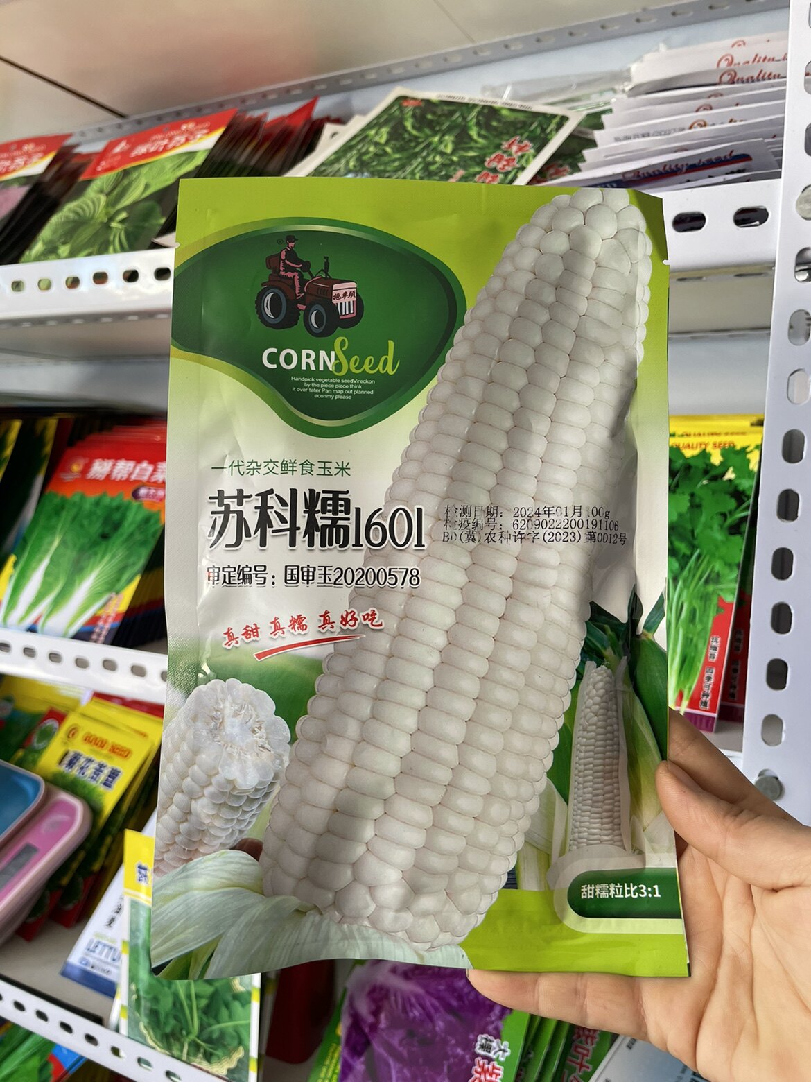 苏科糯1601白甜糯玉米种子大棒白糯玉米籽农家粘苞米种籽包邮