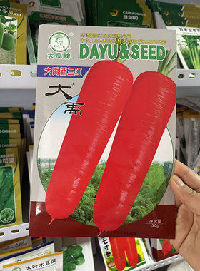 大禹新三红胡萝卜种子农家秋季红胡萝卜籽水果胡萝卜甜脆耐储蔬菜
