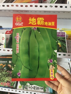 新籽无架矮生地油豆种子豆角早熟地霸油豆角籽地豆种包邮包装随机