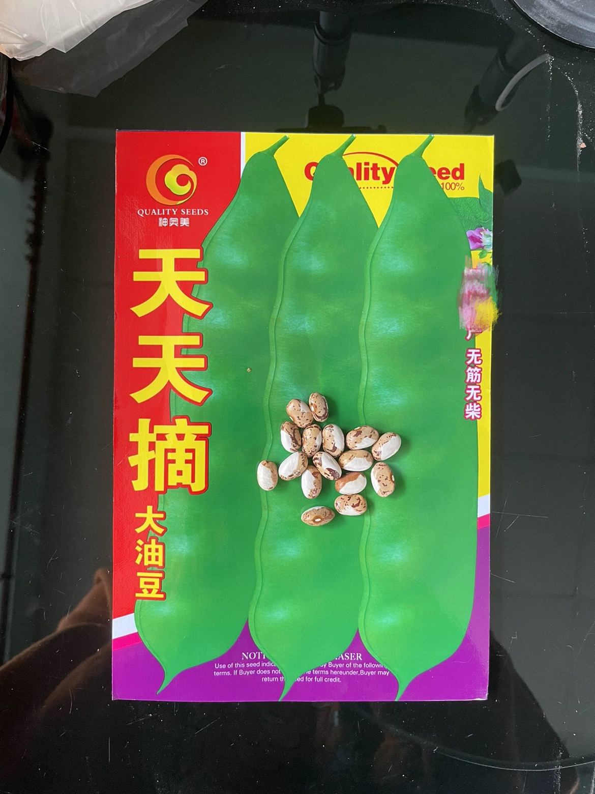 东北大油豆角种子天天摘宽绿油豆