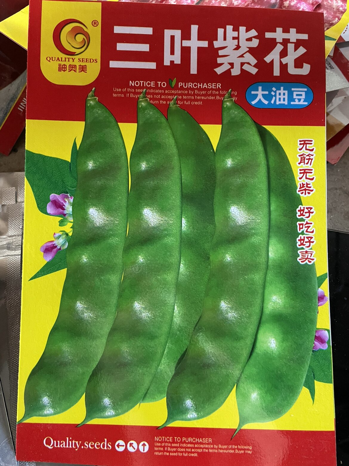 东北新籽农家春种蔬菜种子油豆角籽架豆种子三叶紫花油豆面糊包邮