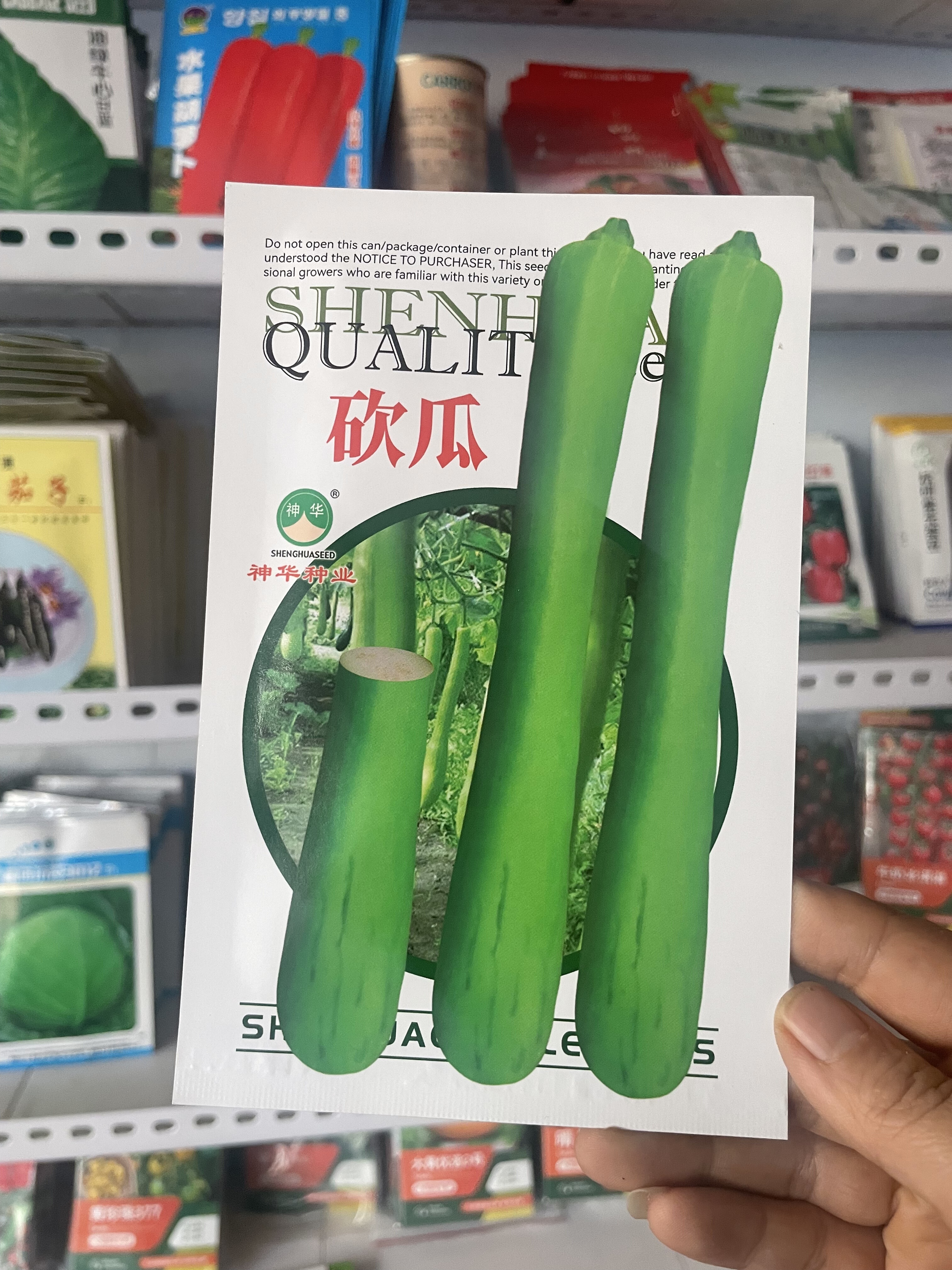 砍瓜种子短棒瓜种籽短瓜籽菜瓜籽菜瓜种籽菜园蔬菜种子