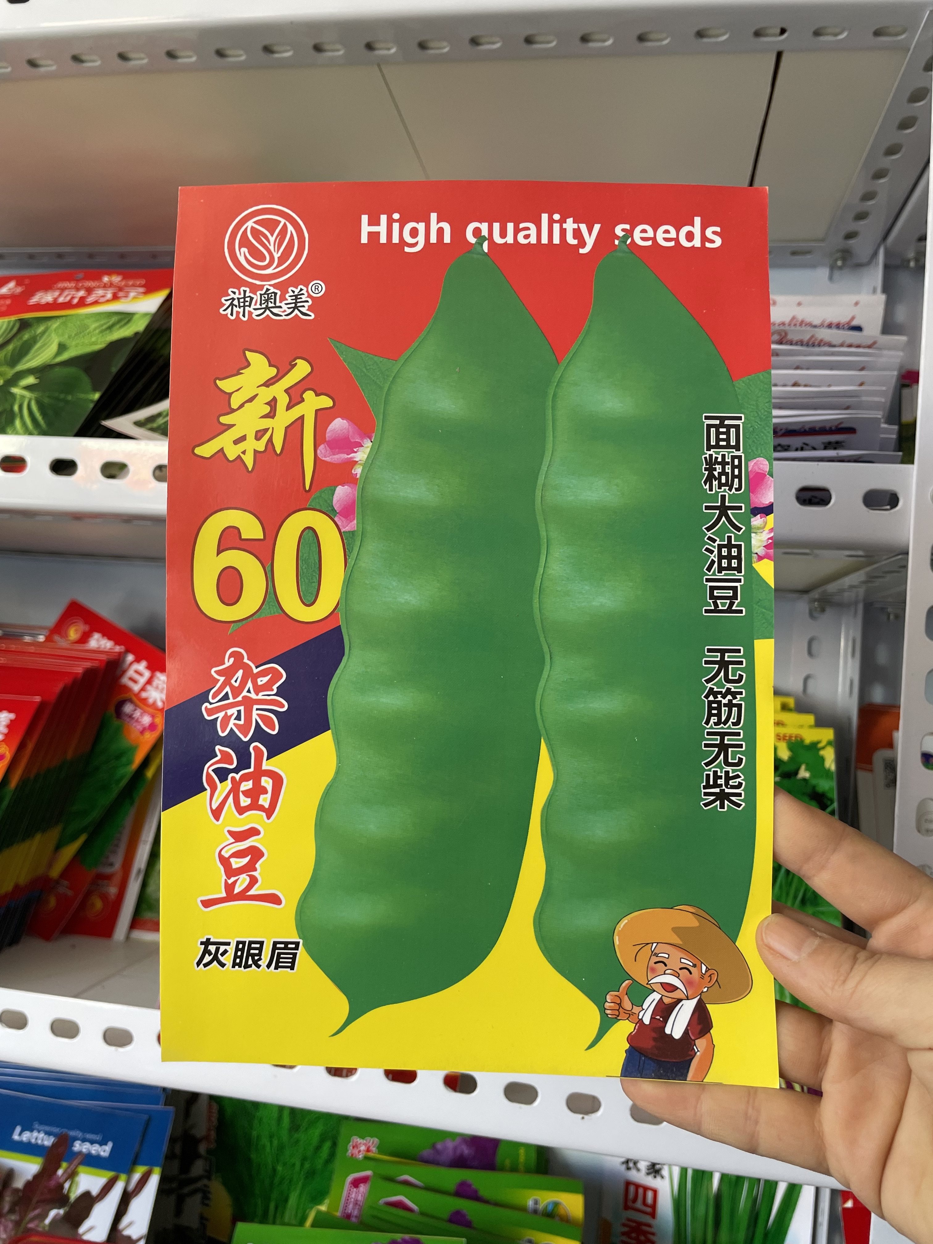 东北新籽农家春种蔬菜种子油豆角籽架豆种子长春60面豆角籽包邮