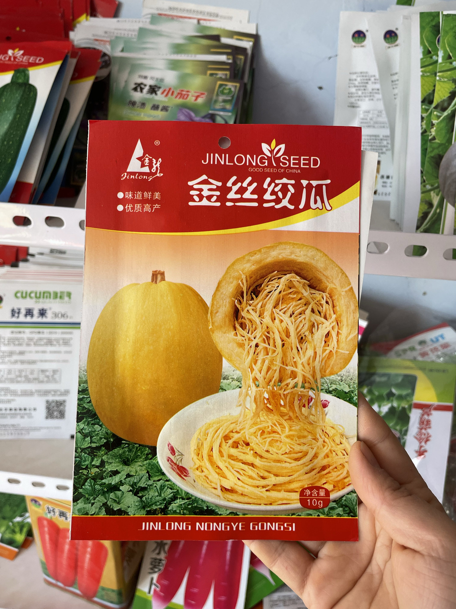 金丝搅瓜种子丝瓜粉丝角瓜籽黄金瓜西葫芦南瓜蔬菜茭瓜种籽苗孑