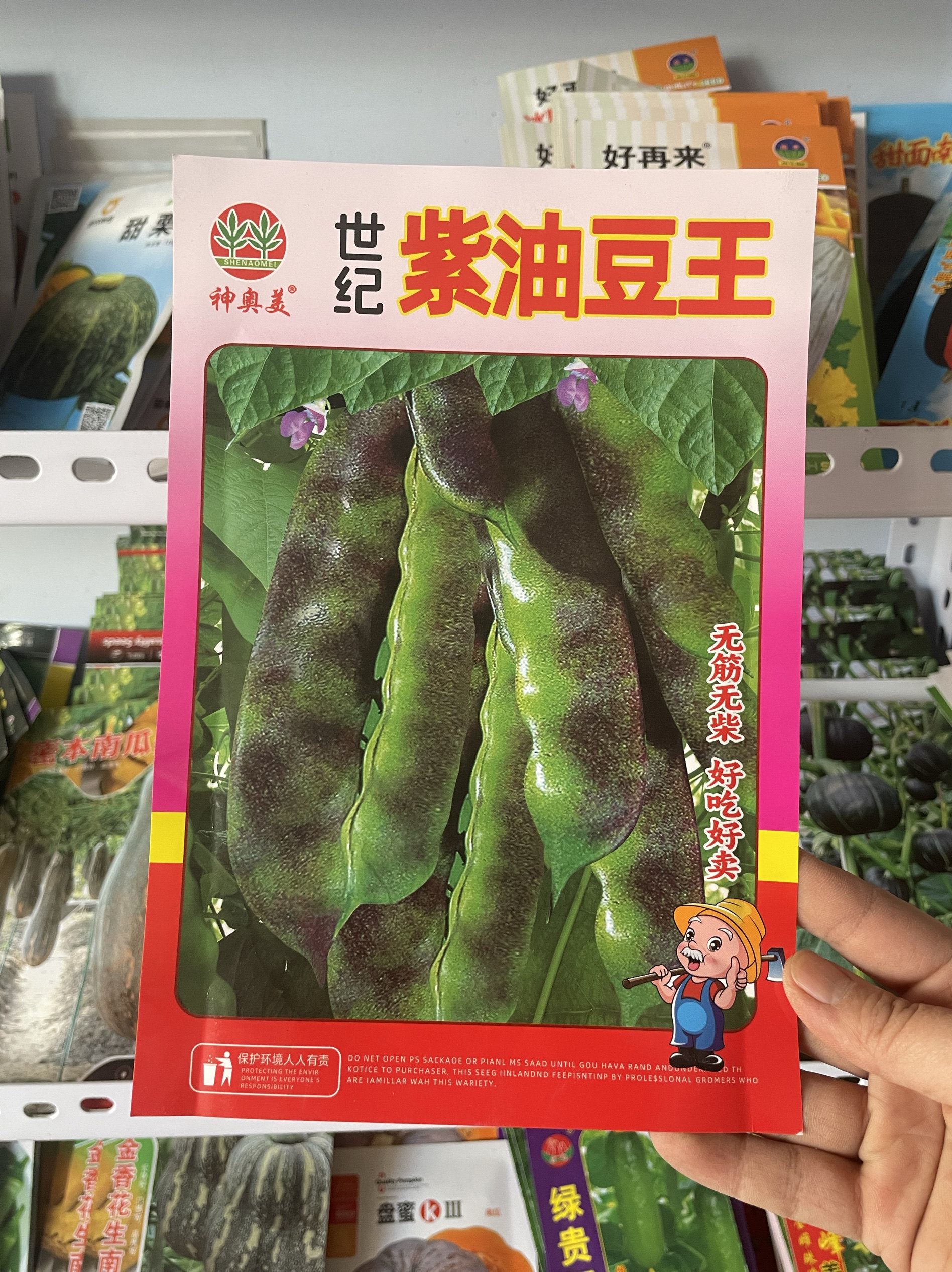 东北老品种紫油豆王豆角种子农家开锅烂搭架紫花大油豆豆角籽包邮 - 实物图
