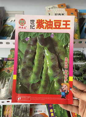 东北老品种紫油豆王豆角种子农家开锅烂搭架紫花大油豆豆角籽包邮