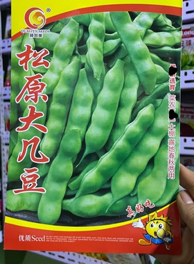 新籽松原大几豆油豆角种子农家几豆豆角籽面糊好吃架豆鼓豆包邮