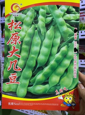 豆角种子松原大几豆农家面糊