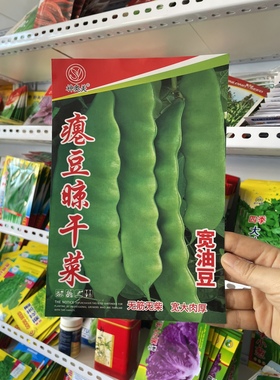 瘪豆晾干菜油豆角种子晒豆角丝豆角籽搭架扁莲子架油豆纯绿色包邮