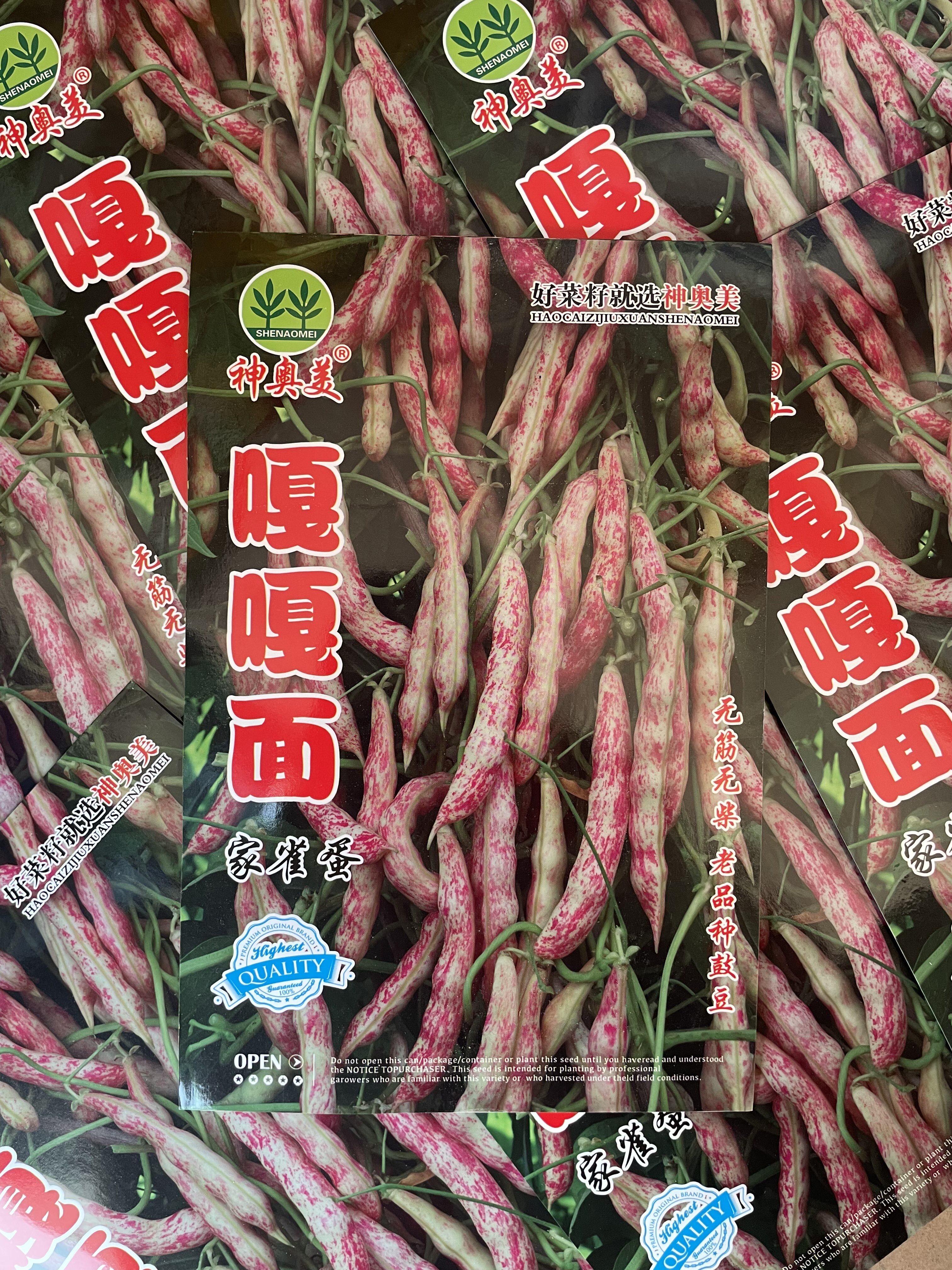 东北嘎嘎面家雀蛋豆角籽油豆角种子架油豆鼓豆架豆面糊春季包邮 - 实物图